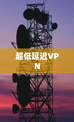 超低延迟VPN 超低延迟VPN