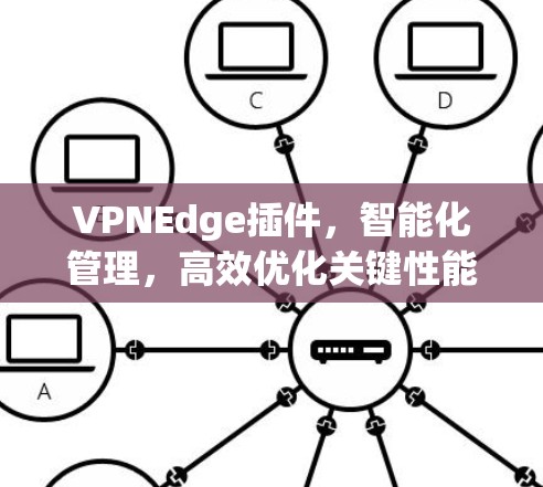 VPNEdge插件，智能化管理，高效优化关键性能