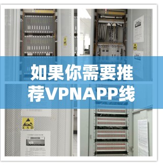 如果你需要推荐VPNAPP线路，可以根据你的需求选择以下几种常用的VPN服务和线路