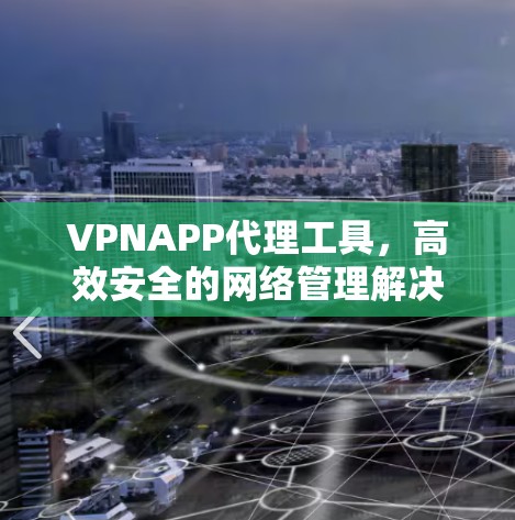 VPNAPP代理工具，高效安全的网络管理解决方案