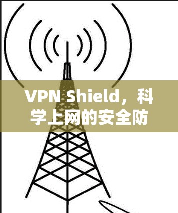 VPN Shield,科学上网的安全防护与性能优化