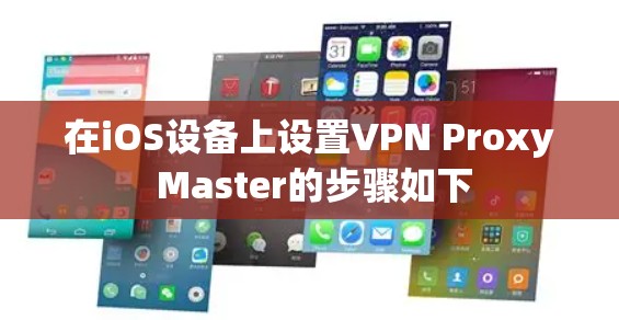 在iOS设备上设置VPN Proxy Master的步骤如下