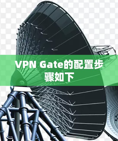 VPN Gate的配置步骤如下