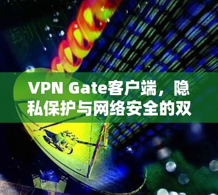 VPN Gate客户端，隐私保护与网络安全的双重保障