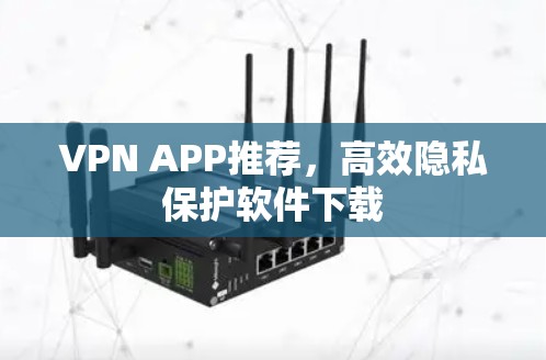 VPN APP推荐，高效隐私保护软件下载