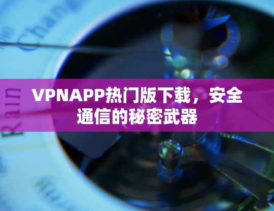 VPNAPP热门版下载,安全通信的秘密武器