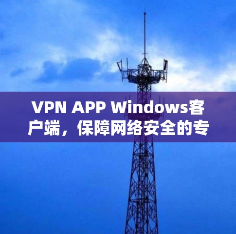 VPN APP Windows客户端,保障网络安全的专业解决方案