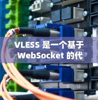 VLESS 是一个基于 WebSocket 的代理服务,类似于 Shadowsocks,用于绕过网络限制,提供更安全和更高效的互联网访问。要测试 VLESS 的速度,可以按照以下步骤进行