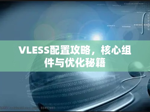 VLESS配置攻略,核心组件与优化秘籍