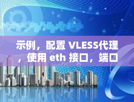 示例，配置 VLESS代理，使用 eth 接口，端口 108，IP 为 10.10.1.1，DNS 为 10.10.1.1