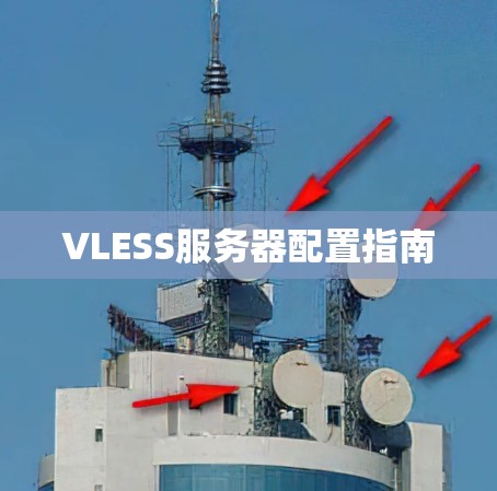 VLESS服务器配置指南