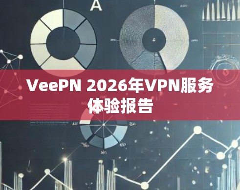 VeePN 2026年VPN服务体验报告