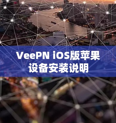 VeePN iOS版苹果设备安装说明