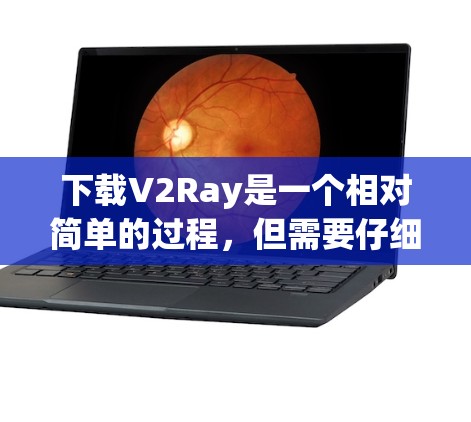 下载V2Ray是一个相对简单的过程,但需要仔细配置才能正常使用。以下是分步骤的指南