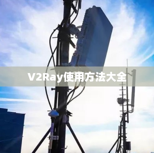 V2Ray使用方法大全 V2Ray使用方法大全