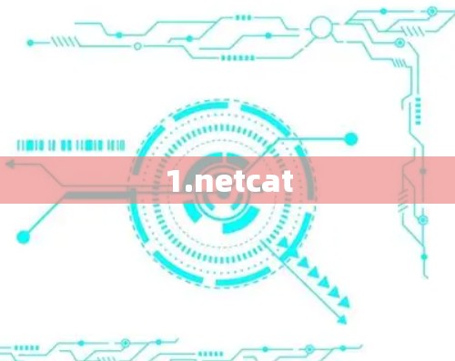 1.netcat 1.netcat