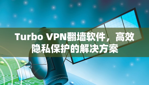 Turbo VPN翻墙软件,高效隐私保护的解决方案 Turbo VPN翻墙软件,高效隐私保护的解决方案