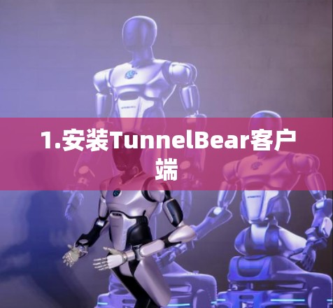 1.安装TunnelBear客户端 1.安装TunnelBear客户端