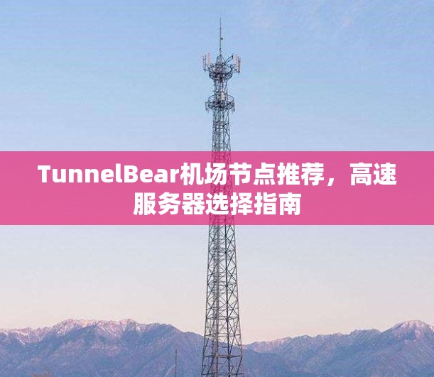 TunnelBear机场节点推荐,高速服务器选择指南 TunnelBear机场节点推荐,高速服务器选择指南
