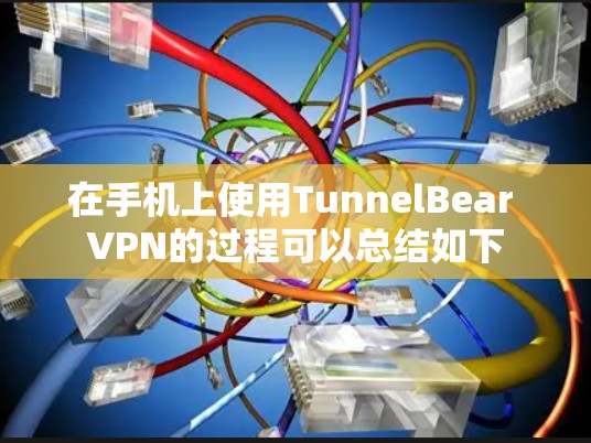 在手机上使用TunnelBear VPN的过程可以总结如下 在手机上使用TunnelBear VPN的过程可以总结如下