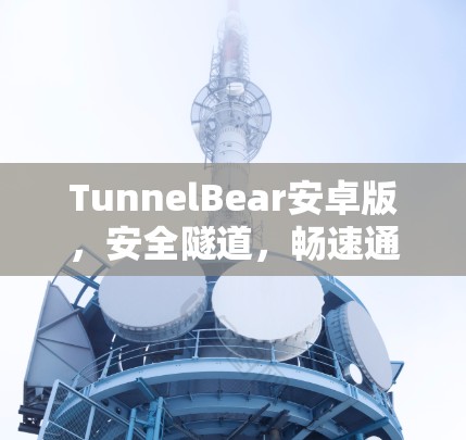 TunnelBear安卓版,安全隧道,畅速通行 TunnelBear安卓版,安全隧道,畅速通行