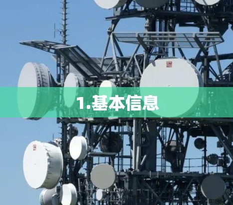 1.基本信息