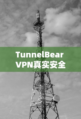 TunnelBear VPN真实安全吗? TunnelBear VPN真实安全吗?