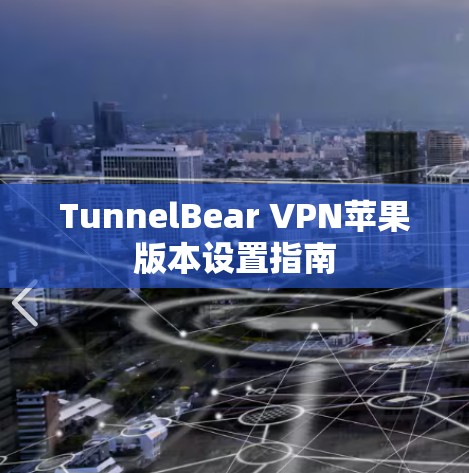 TunnelBear VPN苹果版本设置指南 TunnelBear VPN苹果版本设置指南