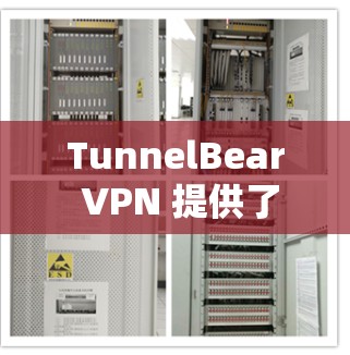 TunnelBear VPN 提供了多平台的服务,包括 Windows 和 macOS。以下是使用 TunnelBear VPN 在电脑上的步骤 TunnelBear VPN 提供了多平台的服务,包括 Windows 和 macOS。以下是使用 TunnelBear VPN 在电脑上的步骤