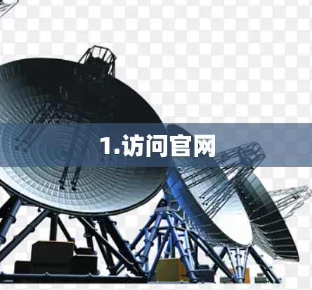 1.访问官网 1.访问官网