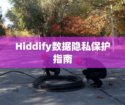 Hiddify数据隐私保护指南 Hiddify数据隐私保护指南