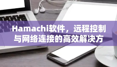 Hamachi软件，远程控制与网络连接的高效解决方案