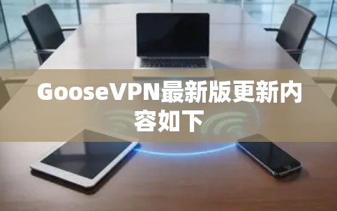 GooseVPN最新版更新内容如下 GooseVPN最新版更新内容如下