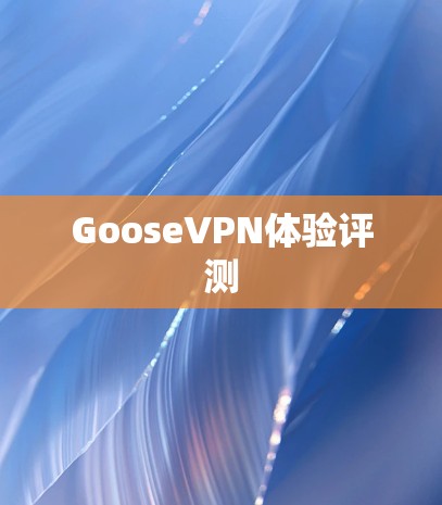 GooseVPN体验评测 GooseVPN体验评测