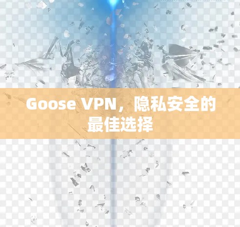 Goose VPN,隐私安全的最佳选择 Goose VPN,隐私安全的最佳选择
