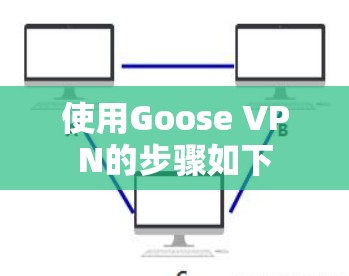 使用Goose VPN的步骤如下 使用Goose VPN的步骤如下