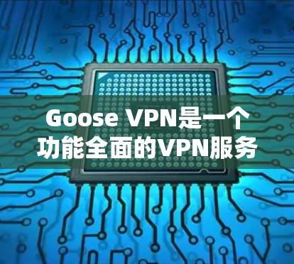 Goose VPN是一个功能全面的VPN服务,适合需要多设备连接和注重隐私保护的用户。以下是对其服务体验的详细分析 Goose VPN是一个功能全面的VPN服务,适合需要多设备连接和注重隐私保护的用户。以下是对其服务体验的详细分析