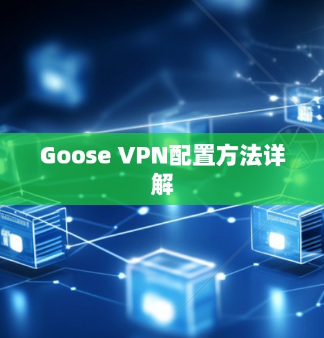 Goose VPN配置方法详解 Goose VPN配置方法详解