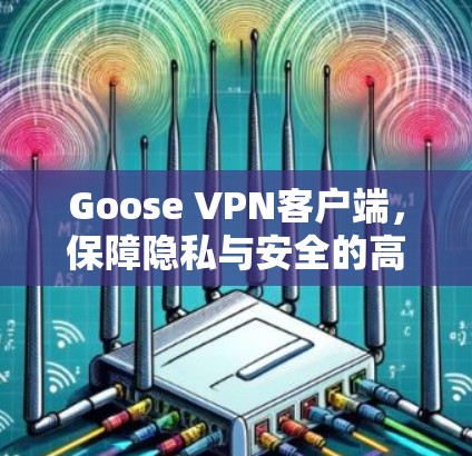 Goose VPN客户端,保障隐私与安全的高效解决方案 Goose VPN客户端,保障隐私与安全的高效解决方案