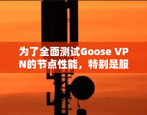 为了全面测试Goose VPN的节点性能,特别是服务器速度,我按照以下步骤进行了测试 为了全面测试Goose VPN的节点性能,特别是服务器速度,我按照以下步骤进行了测试