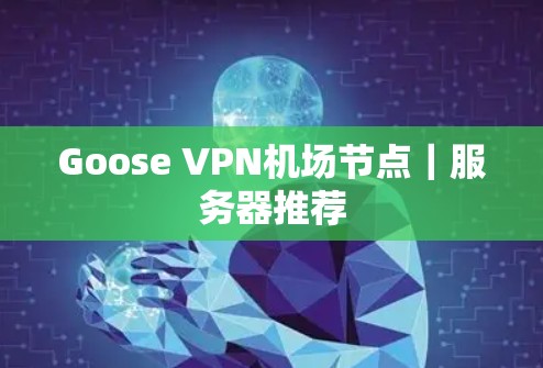 Goose VPN机场节点｜服务器推荐