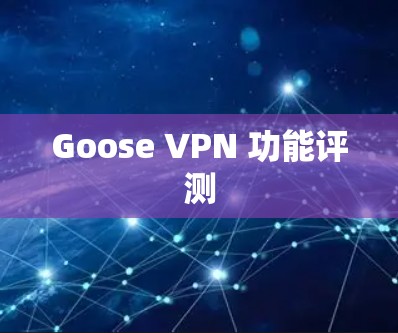 Goose VPN 功能评测 Goose VPN 功能评测