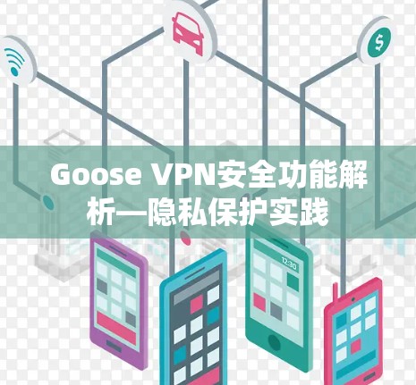 Goose VPN安全功能解析—隐私保护实践