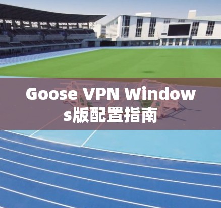 Goose VPN Windows版配置指南