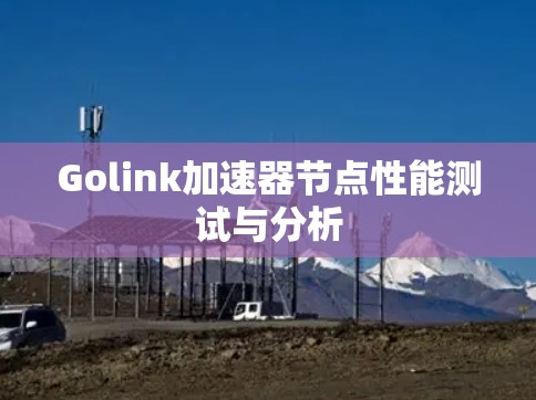 Golink加速器节点性能测试与分析 Golink加速器节点性能测试与分析