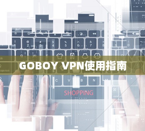 GOBOY VPN使用指南