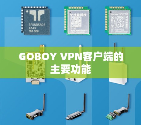 GOBOY VPN客户端的主要功能