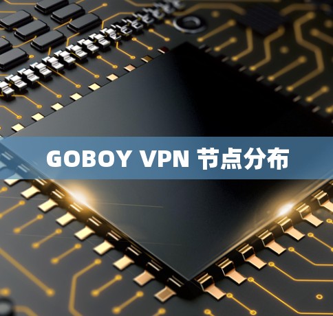 GOBOY VPN 节点分布 GOBOY VPN 节点分布