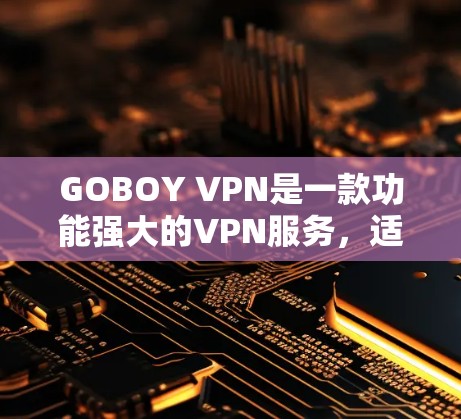 GOBOY VPN是一款功能强大的VPN服务，适合不同需求的用户。以下是其详细分析