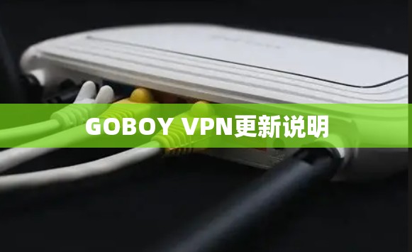 GOBOY VPN更新说明 GOBOY VPN更新说明
